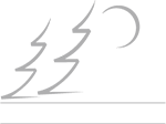 WA.gov reverse grayscale logo for use on dark backgrounds